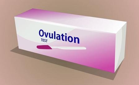 test na ovulyaciya