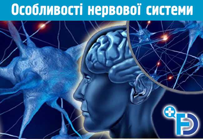Анатомо-фізіологічні особливості нервової системи