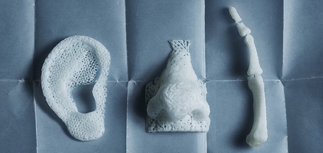 Скафолды или каркасы для выращивания органов, напечатанные на 3D-принтере
