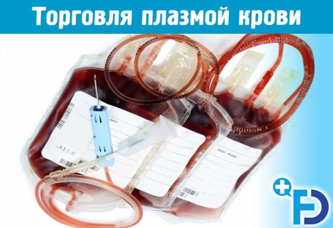Житомирский областной центр крови незаконно торговал плазмой крови