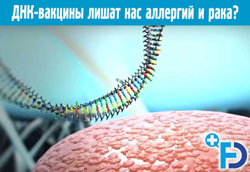 ДНК-вакцины лишат нас аллергий и рака?